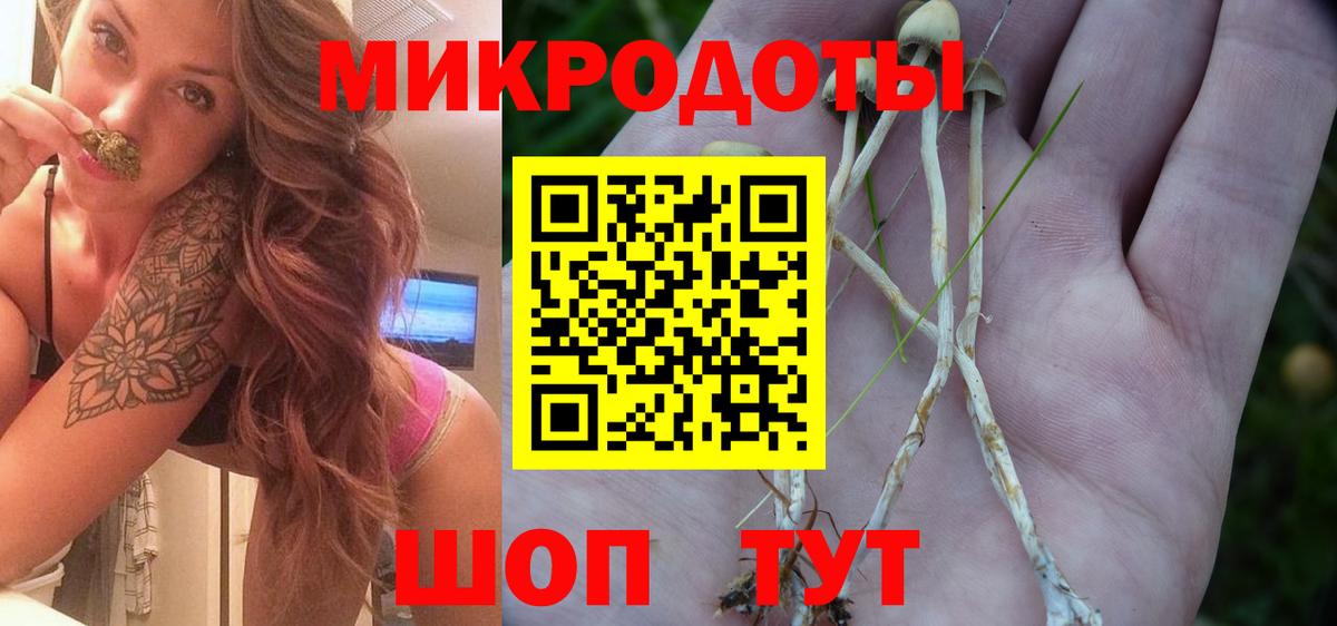 Псилоцибиновые грибы Cubensis  Вход с VPN  Нижнеудинск 